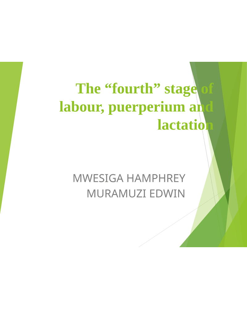 Fourth Stage Of Labor, Lactation And The Puerperium cover